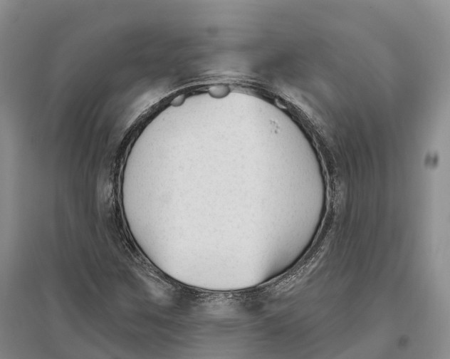 X0000096721259200802261645