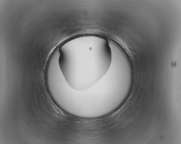 X0000096721260200802261645