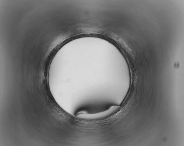 X0000096721261200802261645