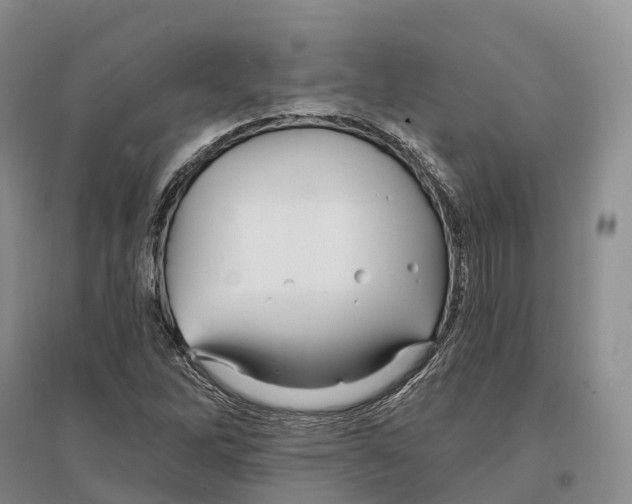 X0000096721262200802261645