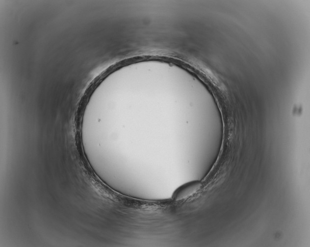 X0000096721264200802261645