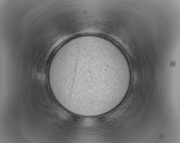 X0000096721266200802261645