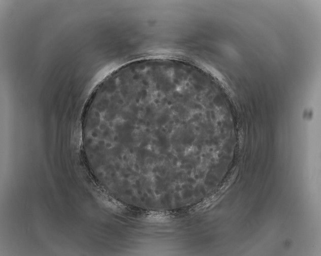 X0000096721267200802261645