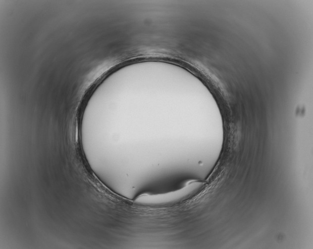 X0000096721269200802261645