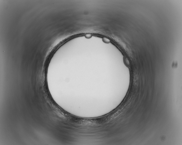 X0000096721270200802261645