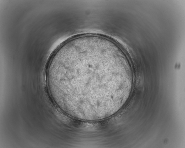 X0000096721271200802261645