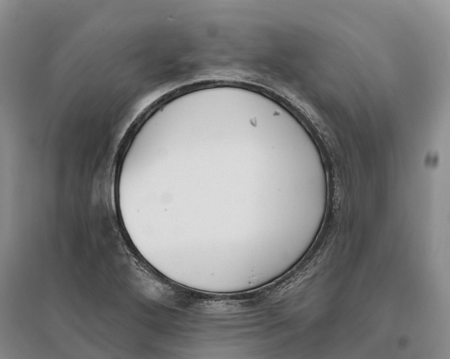 X0000096721272200802261645