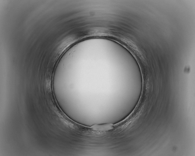 X0000096721273200802261645