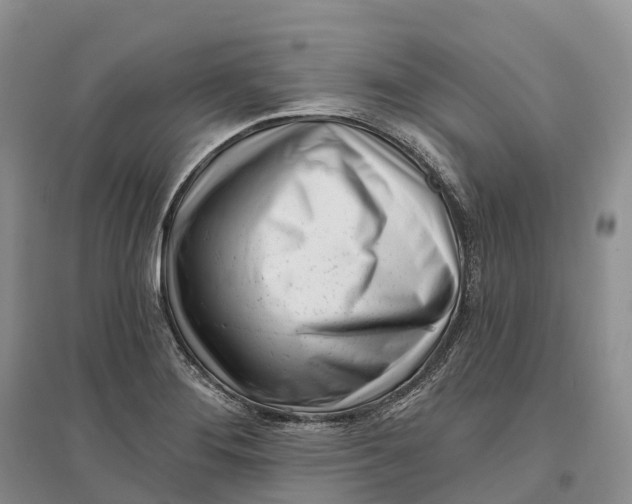 X0000096721276200802261645