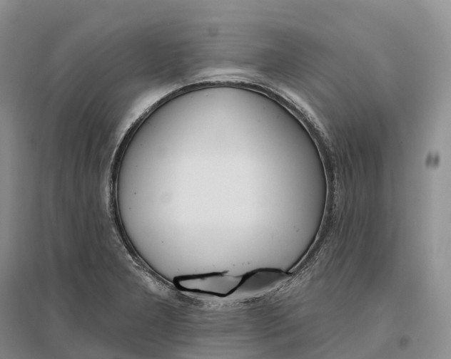 X0000096721277200802261644