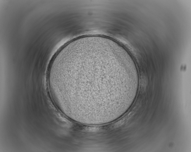 X0000096721278200802261644