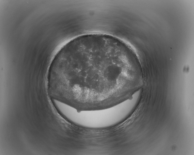 X0000096721279200802261644