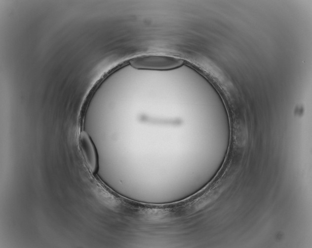 X0000096721280200802261644