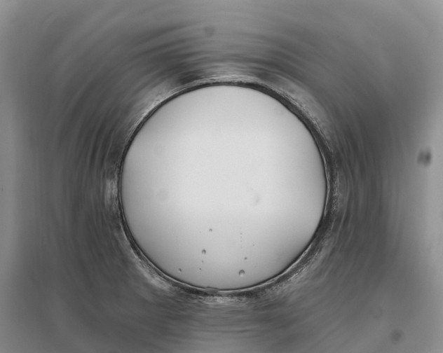 X0000096721281200802261644