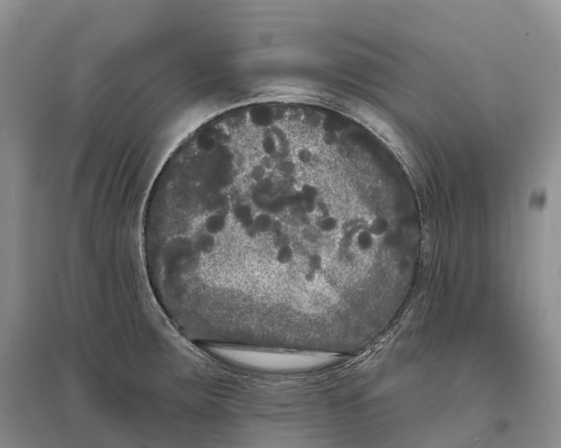 X0000096721283200802261644