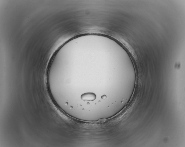 X0000096721285200802261644