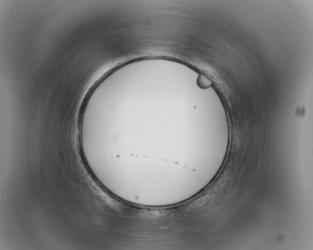 X0000096721286200802261644