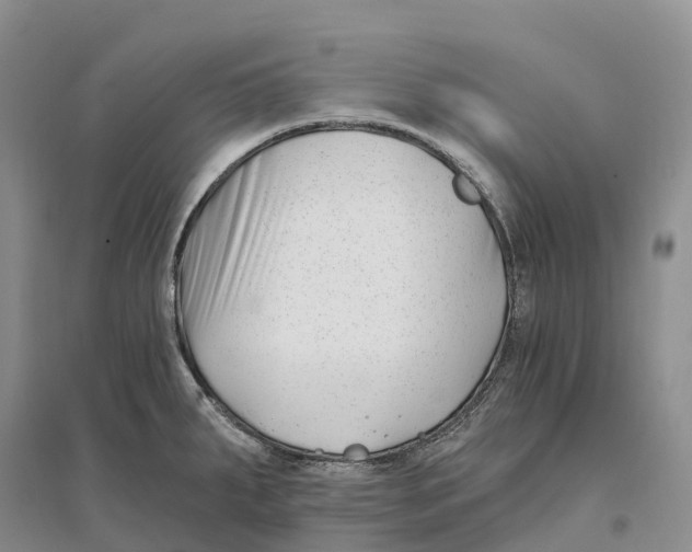 X0000096721287200802261644