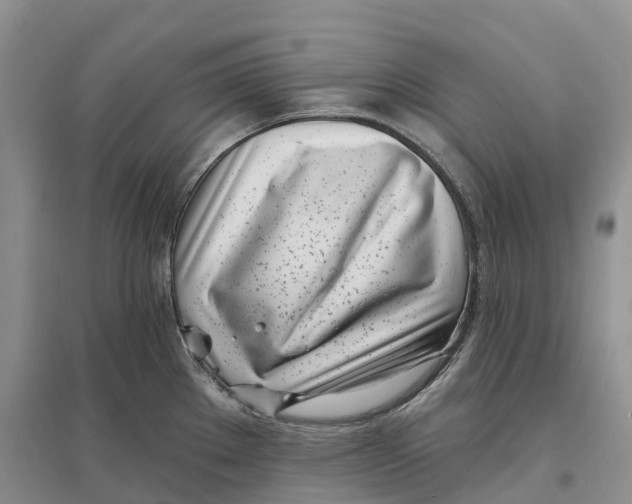 X0000096721289200802261644