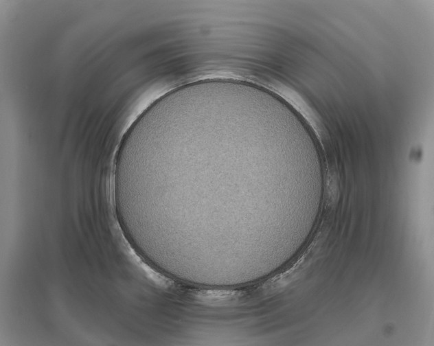 X0000096721290200802261644