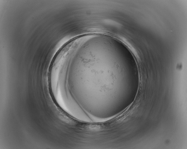 X0000096721291200802261644