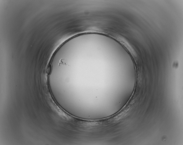 X0000096721292200802261644