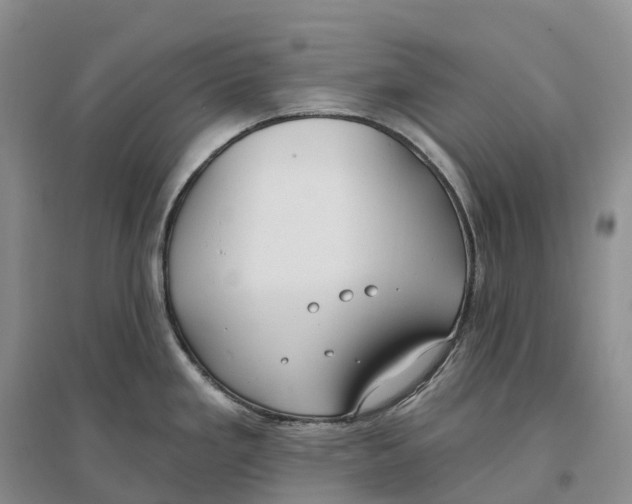 X0000096721293200802261644