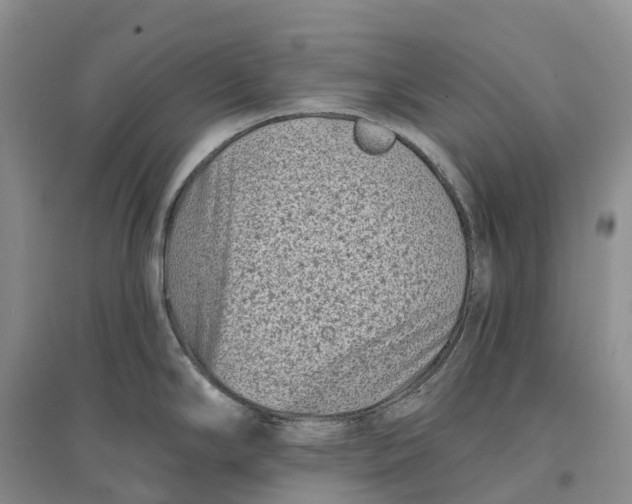 X0000096721294200802261644