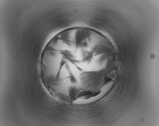 X0000096721295200802261644