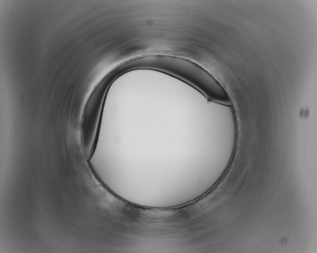 X0000096721296200802261644