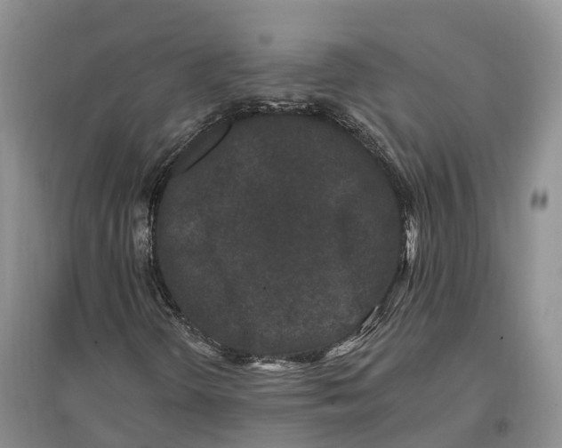 X0000096721298200802261644