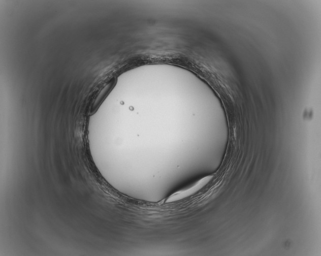 X0000096721300200802261644