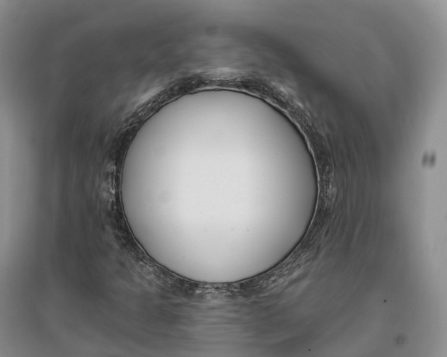 X0000096721301200802261644