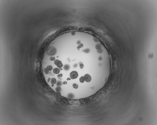 X0000096721302200802261644