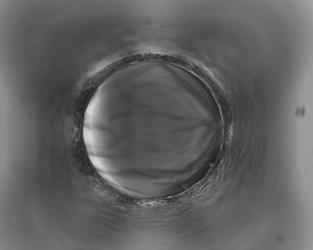 X0000096721303200802261644