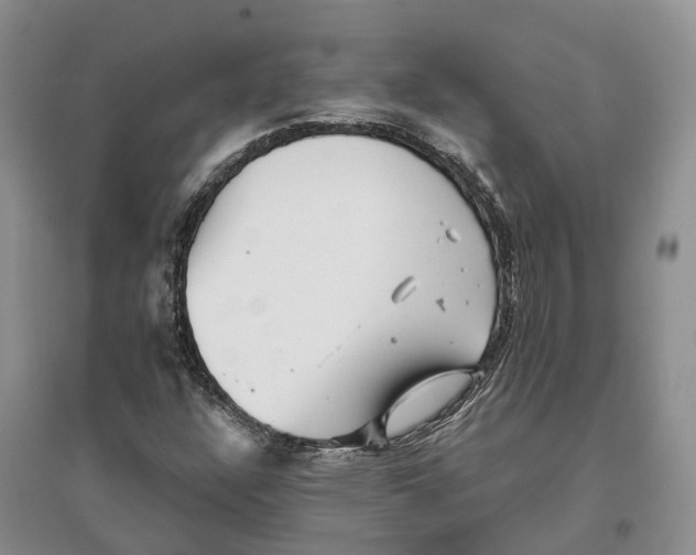 X0000096721304200802261644