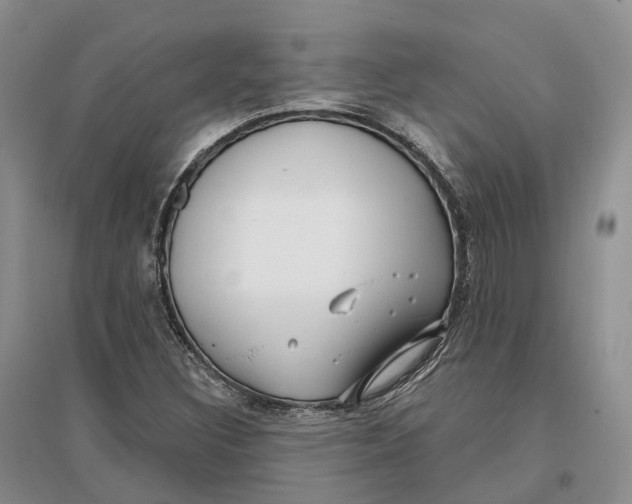 X0000096721308200802261644