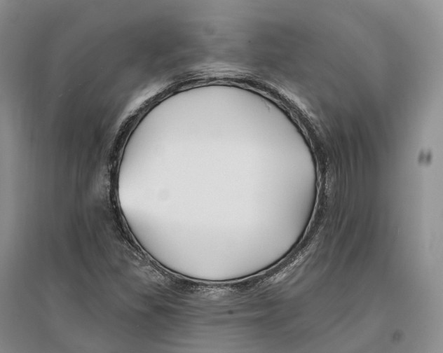 X0000096721309200802261644