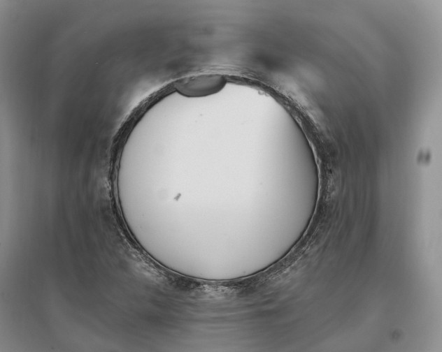 X0000096721312200802261644