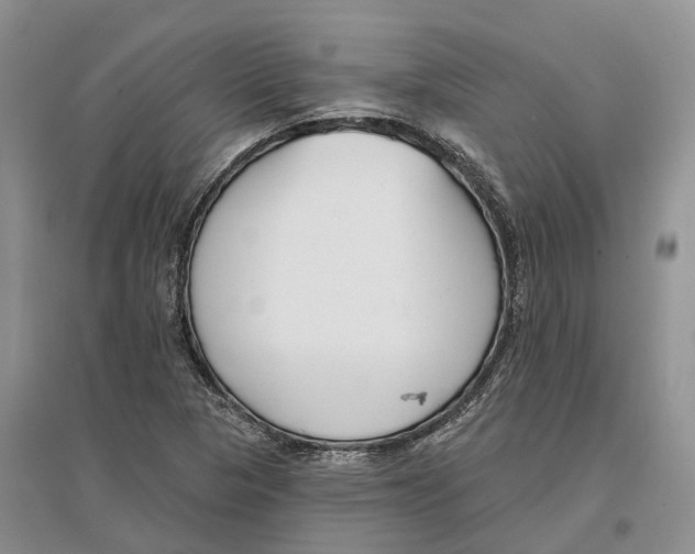 X0000096721313200802261644