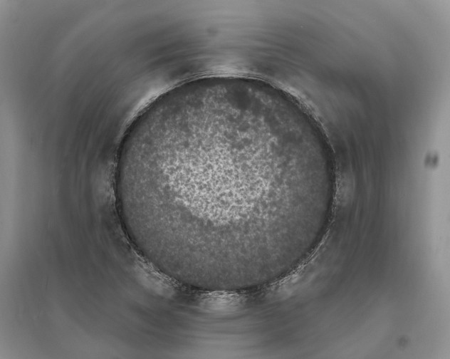 X0000096721314200802261644