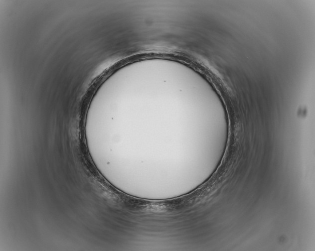 X0000096721315200802261644