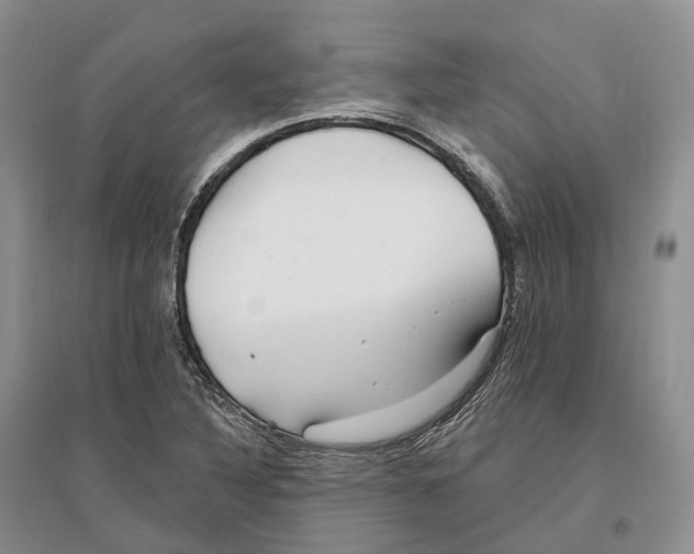 X0000096721316200802261644