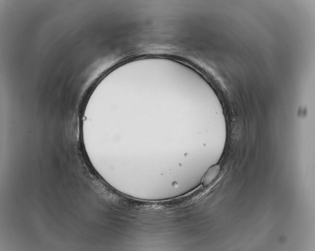 X0000096721317200802261644