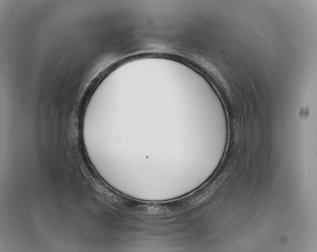 X0000096721318200802261644