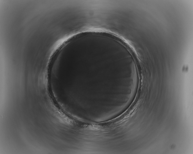 X0000096721319200802261644