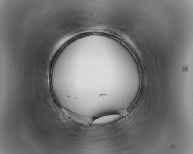 X0000096721320200802261644