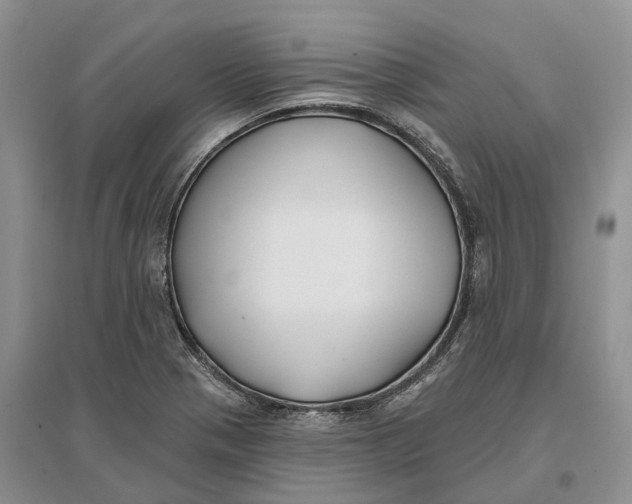 X0000096721321200802261644