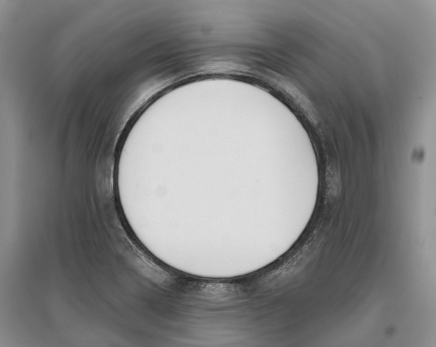 X0000096721322200802261644