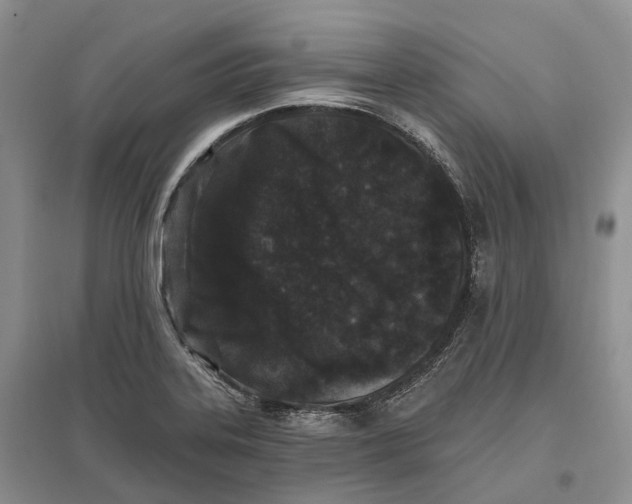 X0000096721323200802261644